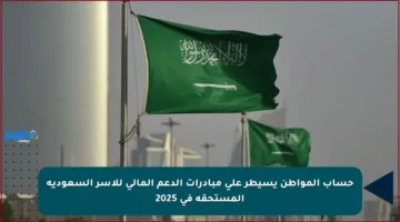 حساب المواطن يسيطر على مبادرات الدعم المالي للأسر السعودية المستحقة في 2025